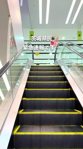 ema_odekake_ibarakiのTikTok投稿