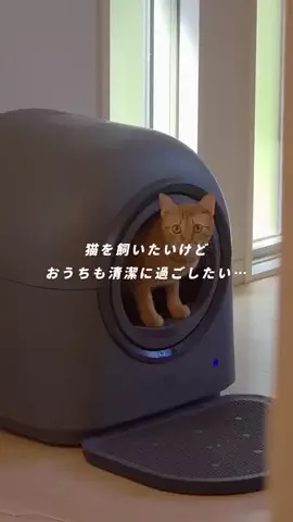 Đen TáoのTikTok PR投稿：#を飼いたいけどおうちも清潔に過ごしたい、、、#pr #HHOLO…