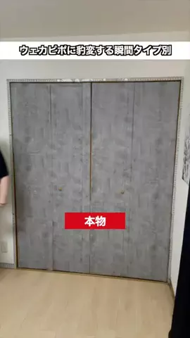 れんれんのTikTok投稿