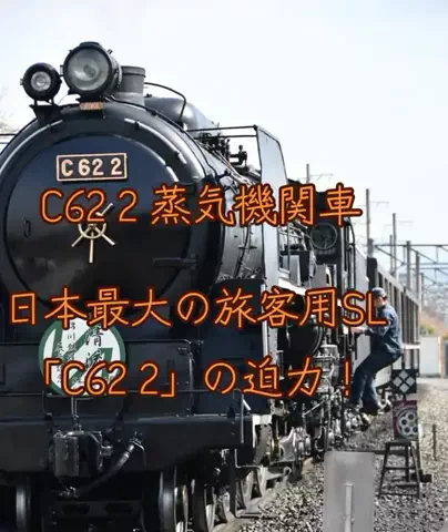 旅ビトのTikTok投稿