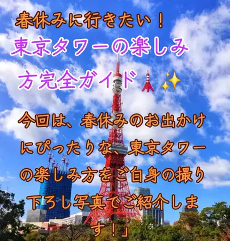 旅ビトのTikTok投稿