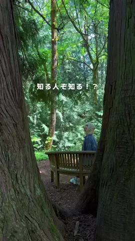 おーぬまんのTikTok投稿