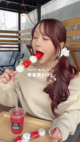 Hitomi@旅行WEBライター✈️のTikTok投稿
