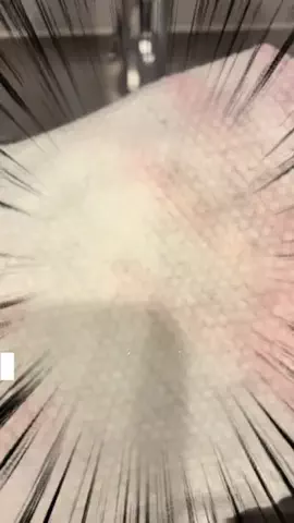 トイプードルのグレン君Hi i'm GLEN🐶のTikTok PR投稿：#ワンタッチ自動開閉 #フェイスタオルモップ #フェイスタ…