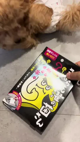 マルプーちゃちゃ🧸おかいものログ🛒のTikTok投稿
