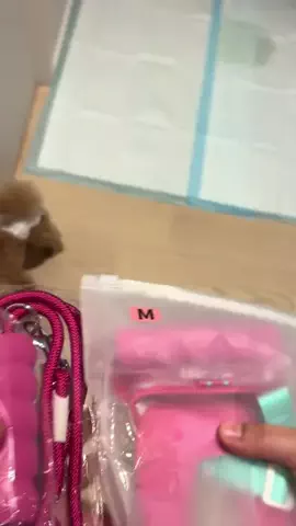 マルプーちゃちゃ🧸おかいものログ🛒のTikTok投稿