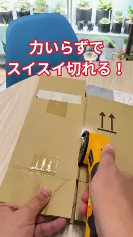 TrinosのTikTok投稿