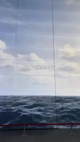 あっきーのTikTok投稿