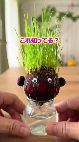 なるママ｜ズボラでも整う暮らし術のTikTok投稿