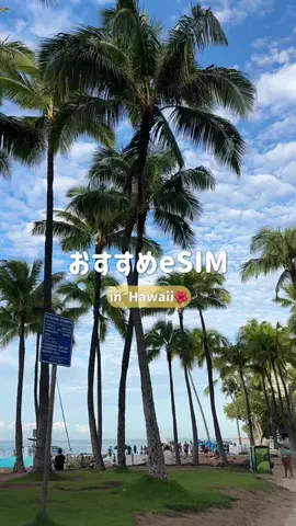チヂミのTikTok投稿