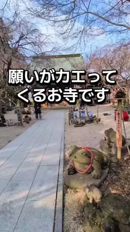 ダイエットティーチャーやのへいのTikTok投稿