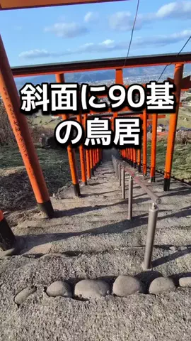 ダイエットティーチャーやのへいのTikTok投稿