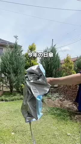 りかほのTikTok投稿
