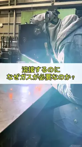 ウェルディング君のTikTok投稿
