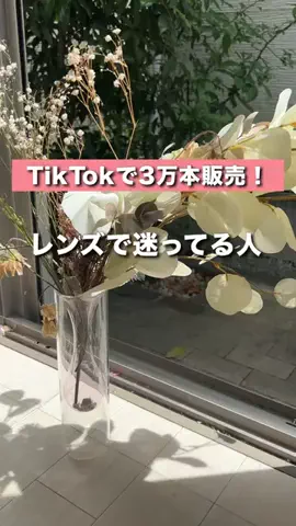 かかみのTikTok投稿