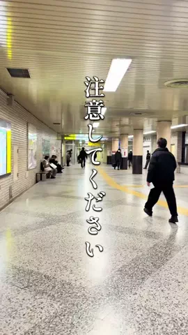 はな⌇札幌グルメ&カフェのTikTok投稿