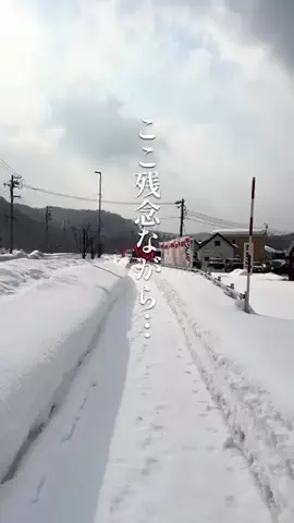 はな⌇札幌グルメ&カフェのTikTok投稿