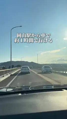 岡山グルメのTikTok投稿
