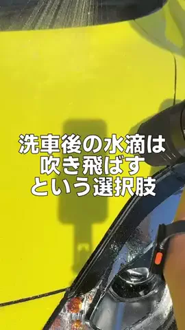 めちのTikTok投稿