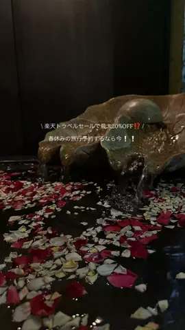 なみちゃん旅のTikTok投稿