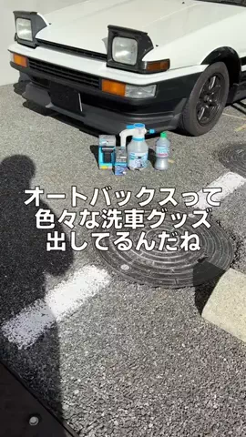 めちのTikTok投稿