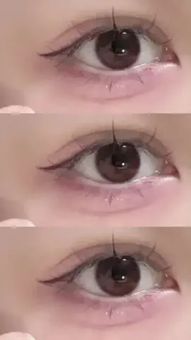 🐻のTikTok投稿