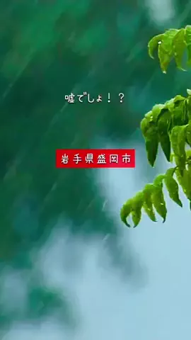 cogi766のTikTok投稿