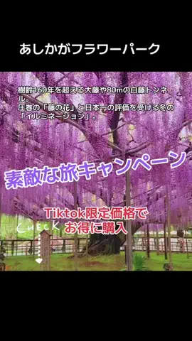 💋牙狼☾🗡️のTikTok投稿