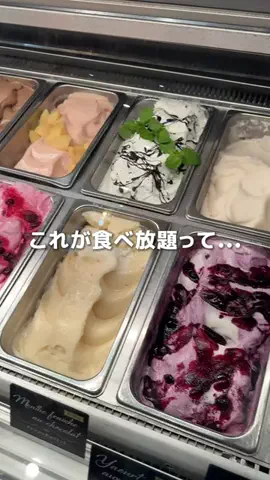 千葉房総グルメ/観光のTikTok投稿
