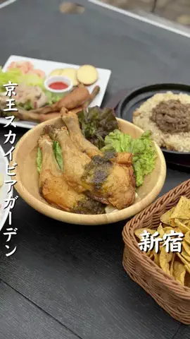 新宿グルメのTikTok投稿