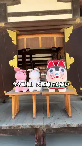 Sample2023のTikTok投稿