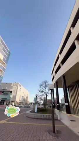 仙台つーしんエンタメ部のTikTok投稿