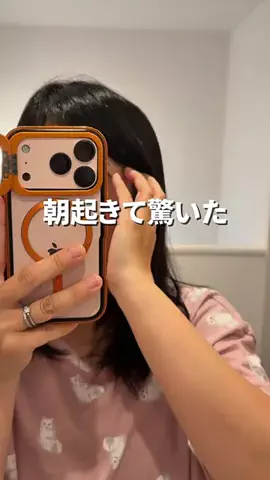 ひた𖠿暮らしをちょっとラクにする主婦のTikTok投稿