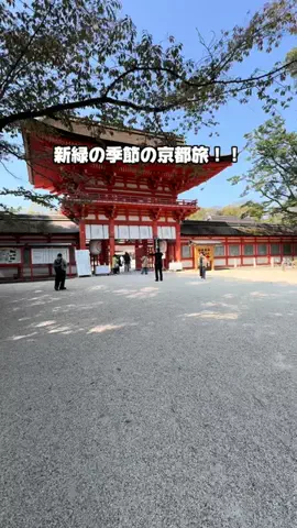 Sample2023のTikTok投稿