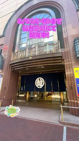 仙台つーしんエンタメ部のTikTok投稿