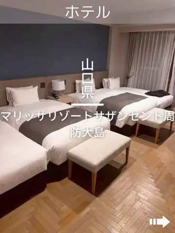 デンじょーの旅のTikTok投稿