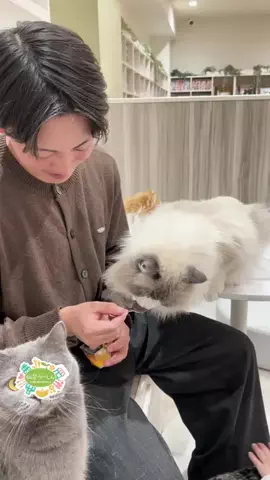 仙台つーしんエンタメ部のTikTok投稿