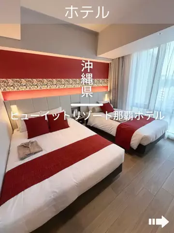 デンじょーの旅のTikTok投稿