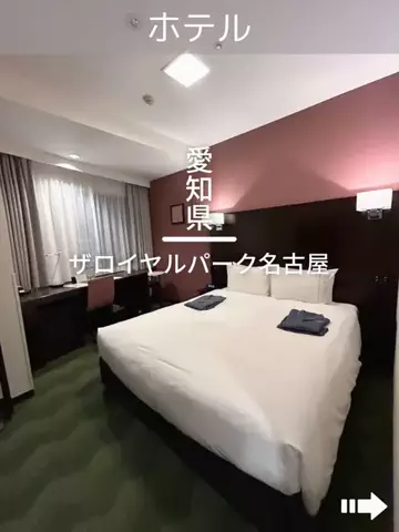 デンじょーの旅のTikTok投稿