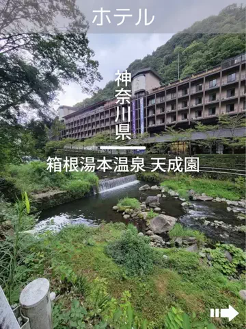 デンじょーの旅のTikTok投稿