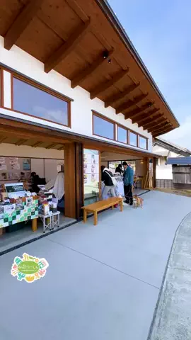 仙台つーしんエンタメ部のTikTok投稿