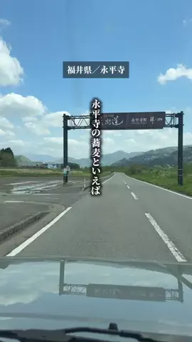 福ちゃんのTikTok投稿
