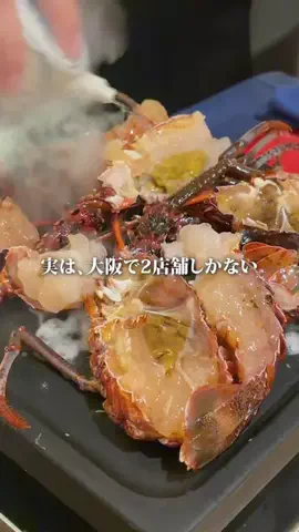 とうわ⌇ 大阪グルメのTikTok投稿