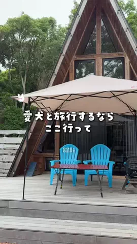 まぁ_コスパホテルのTikTok投稿