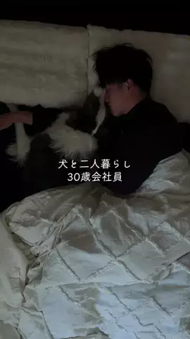 まさ” ボーダーコリーとふたり暮らし”のTikTok投稿