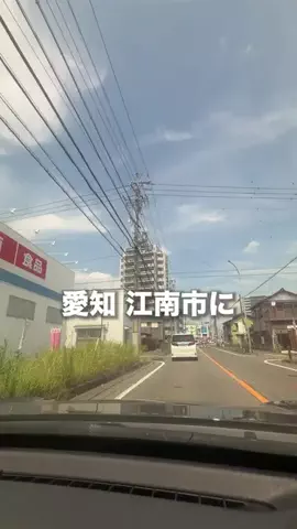 名古屋グルメ【ナゴグル】🍤のTikTok投稿