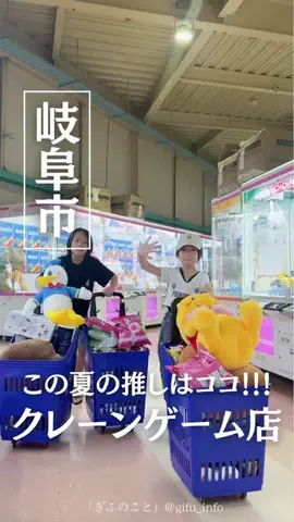 ぎふのことのTikTok投稿
