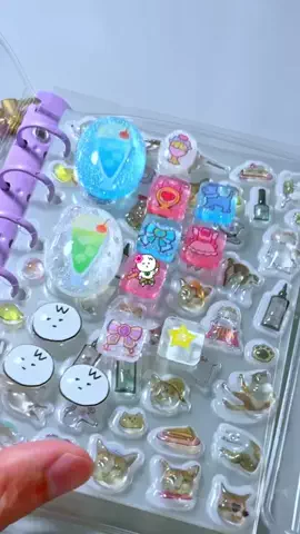 わん🐶のTikTok投稿
