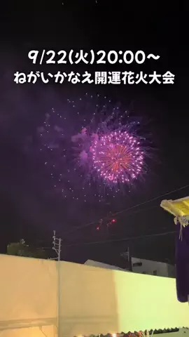 白石ありさ🍓【九州観光グルメ】のTikTok投稿