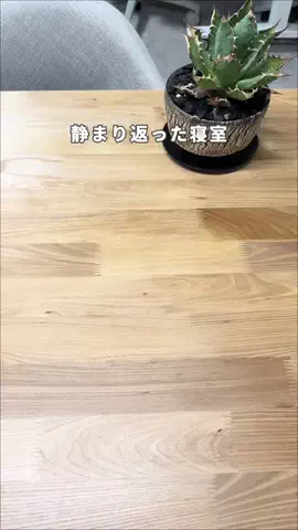 COCO | 暮らしを彩るアイデア🌿のTikTok投稿
